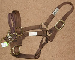 Monty Robert's Dually Training Halter Small Horse Large Pony Brown