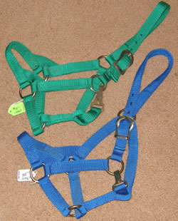 Pony Cob Young Horse Nylon Halter with Throat Snap Blue Green