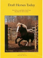 Draft Horses Today Work Horses And Mules Find Their Way Into The 21st Century Horse Book By Robert A. Mischka