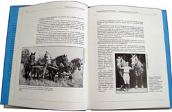 The Percheron Horse in America Vintage Draft Horse Book By Joseph Mischka