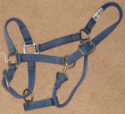Weaver Original Adjustable Chin & Throat Snap Halter 1" Average Horse Nylon Halter Blue