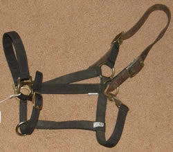Triple E Nylon Breakaway Halter Adjustable Halter Nylon Safety Halter Throat Snap Leather Crown Horse Halter Black