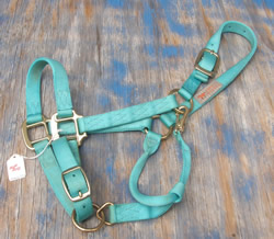 1&rdquo; Adjustable Chin Throat Snap Halter M Horse Heavy Duty Nylon Halter Throat Snap Aqua Teal