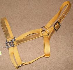 Fancy Trim Horse Print Nylon Halter Horse Halter Safety Yellow