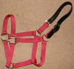 1” Nylon Breakaway Halter Nylon Safety Halter with Leather Crown Horse Halter Red