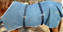 68"- 70” OF Curvon Denim Stable Sheet Horse Blue