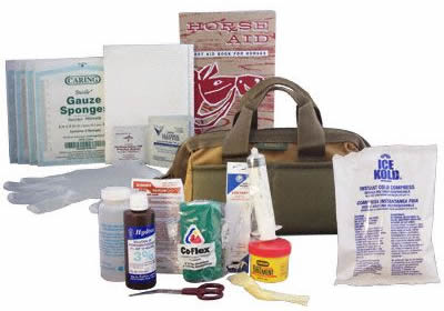 Creative Pet Products Horse Aid First Aid Kit For Horses