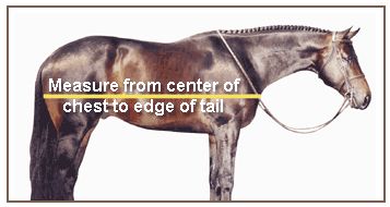 How to Measure Your Horse Properly for a Blanket or Sheet 