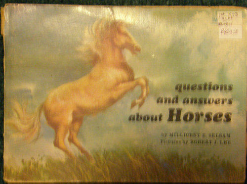 Questions And Answers About Horses Vintage Horse Book By Millicent E. Selsam