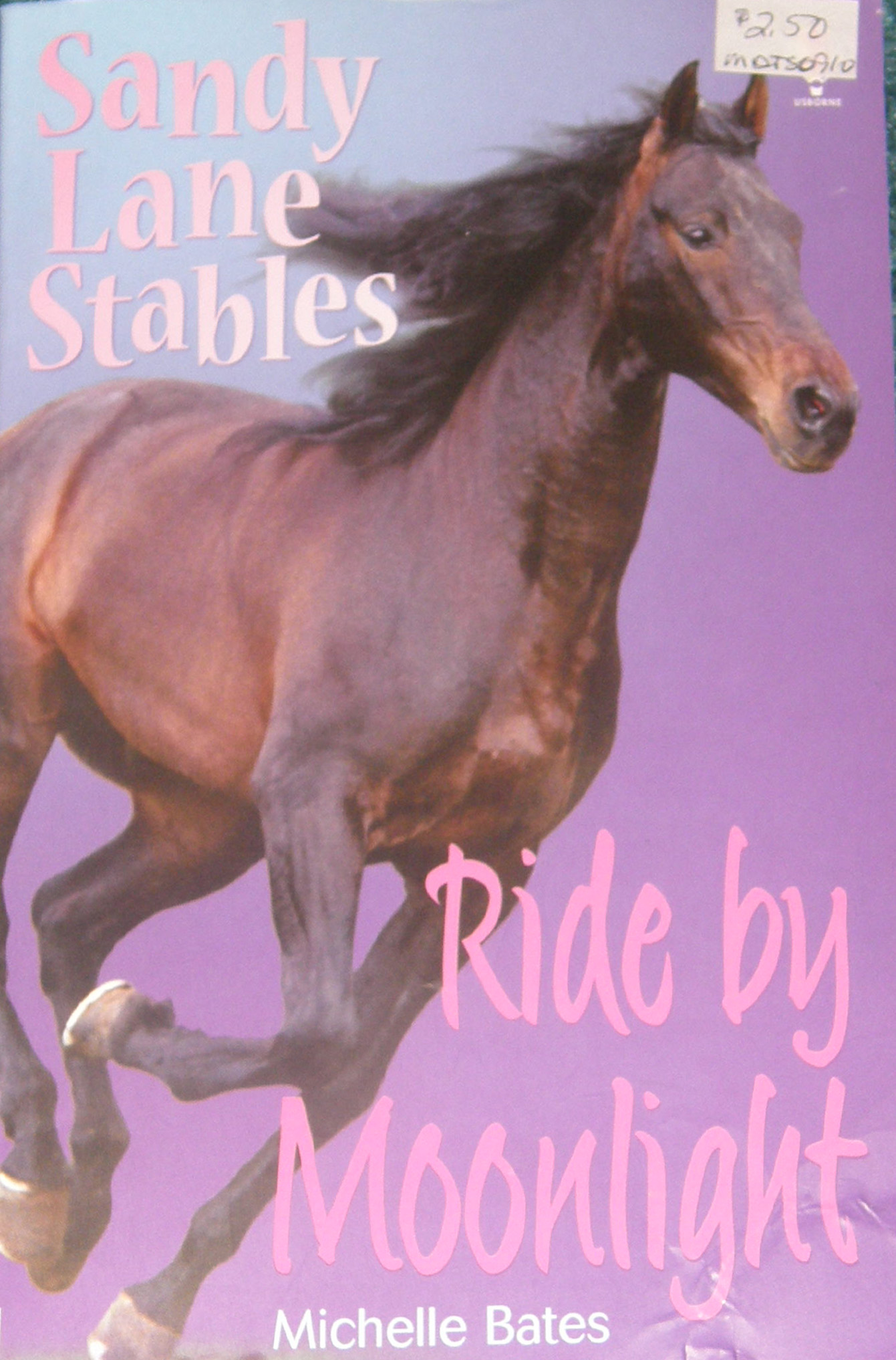 Ride By Moonlight Sandy Lane Stables Horse Book by Michelle Bates