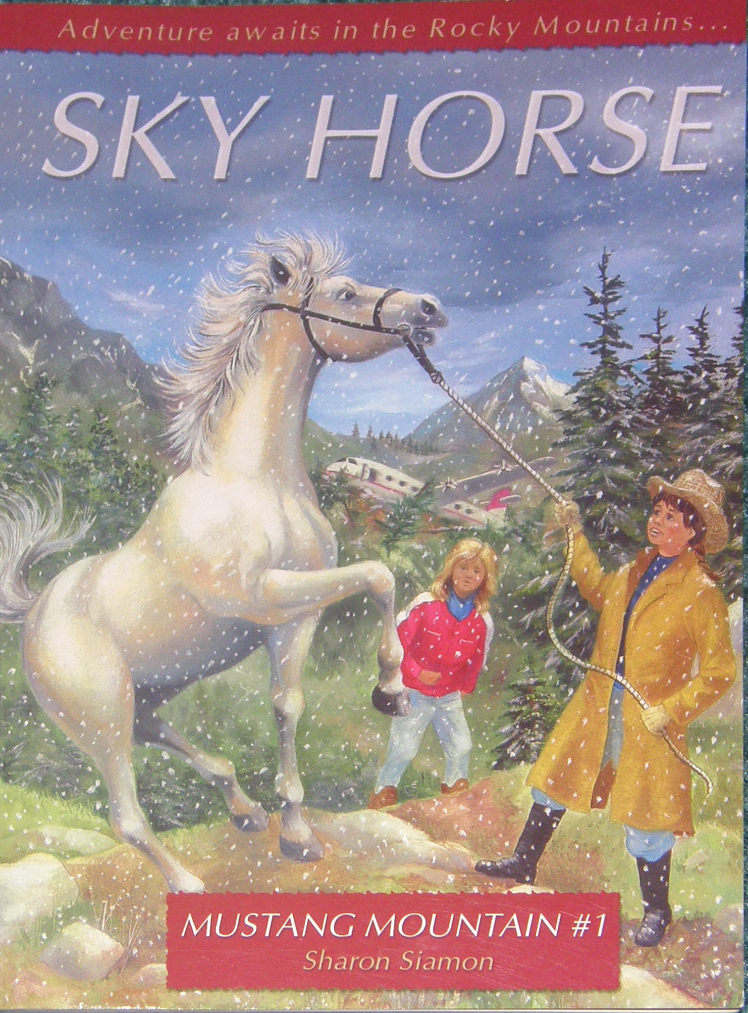 Sky Horse Mustang Mountain Series #1 Horse Book by Sharon Siamon