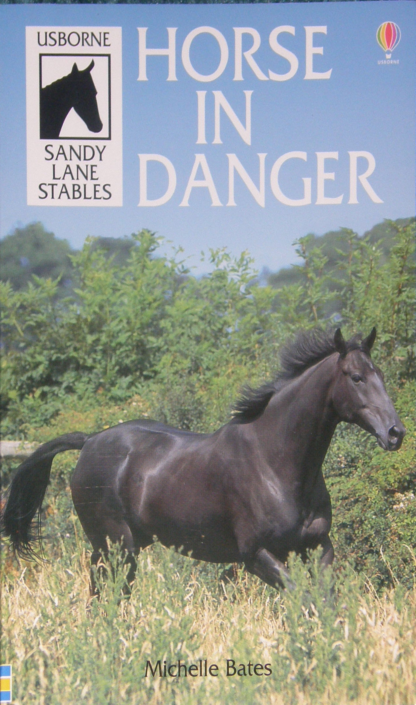 Horse in Danger Sandy Lane Stables #7 Horse Book by Michelle Bates