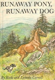 Runaway Pony Runaway Dog Vintage Horse Book Weekly Reader Children's Book Club Edition By Ruth and Latrobe Carroll
