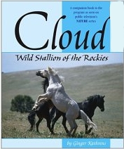 Cloud Wild Stallion Of The Rockies A Companion Book To The Program Seen On Public TVs Nature Series Mustang Horse Book By Ginger Kathrens