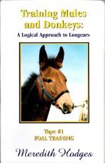 Training Mules And Donkeys A Logical Approach To Longears Tape #1 Foal Training Meredith Hodges Horse Training VHS Tape Instructional Video