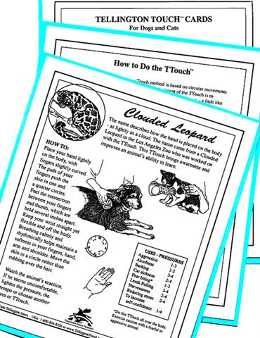 TTouch of Magic Cards for Dogs and Cats Linda Tellington-Jones Instructional Cards