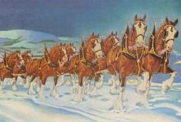 All The King's Horses The Story Of The Budweiser Clydesdales Vintage Draft Horse Book By Alix Coleman & Steven D. Price