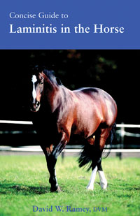 Concise Guide To Laminitis In The Horse Book By David W. Ramey, D.V.M.