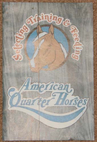 Vintage Selecting Training & Feeding American Quarter Horses QH Association Booklet By The American Quarter Horse Association 1976