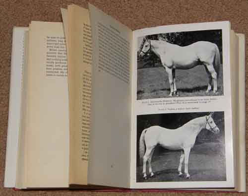 Book Bloodstock Breeding, Third Reprint With Revisions By Sir Charles Leicester