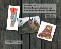 Book Illustrated Atlas of Clinical Anatomy And Common Disorders of the Horse Volume I, Musculoskeletal System & Lameness Disorders By Ronald J. Riegel, D.V.M. & Susan E. Hakola, B.S., R.N., C.M.I.