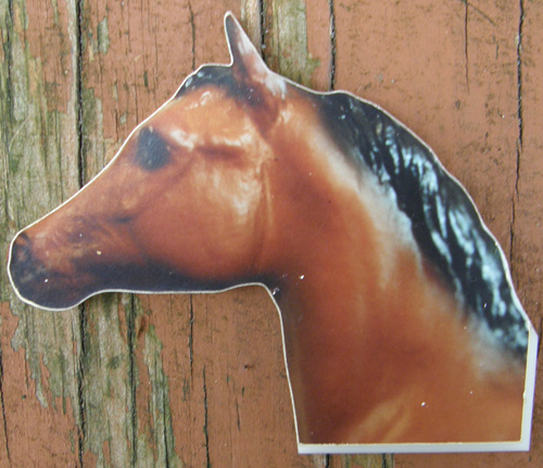 Breyer Horse Magnet Refrigerator Magnet Bay Stock Horse Foal #228