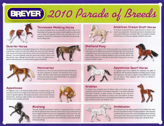 Breyer #410443 SR Stablemates Parade of Breeds VII Poster Chart of Horses JCP Penneys