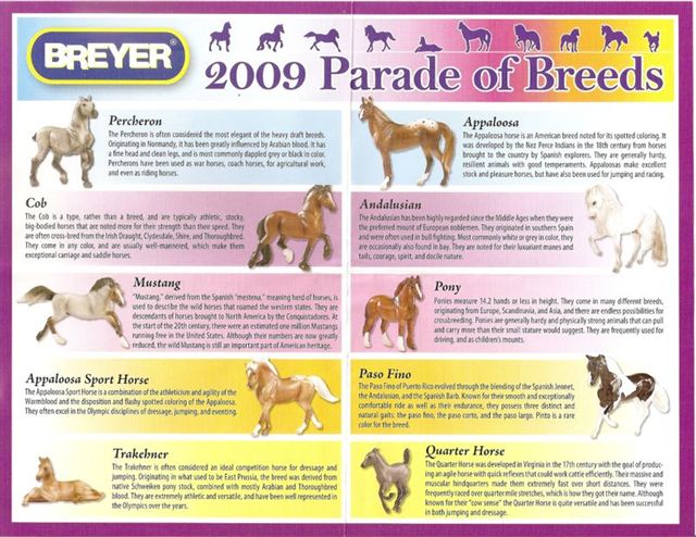 Breyer #410512 SR Stablemates Parade of Breeds VI Poster Chart of Horses JCP Penneys