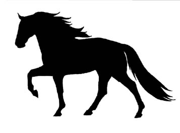 Horse Window Decal Sticker TWH Gaited Horse Walking Horse Missouri Fox Trotter Rocky Mountain Horse