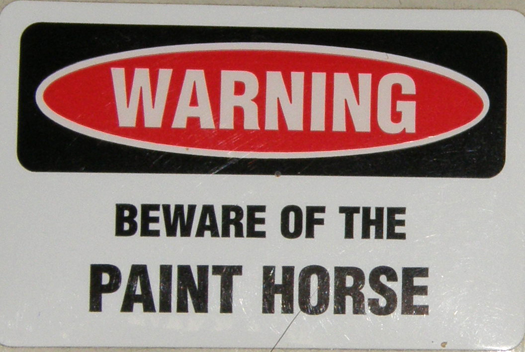 Decal Warning Sticker Warning Beware Of The Paint Horse