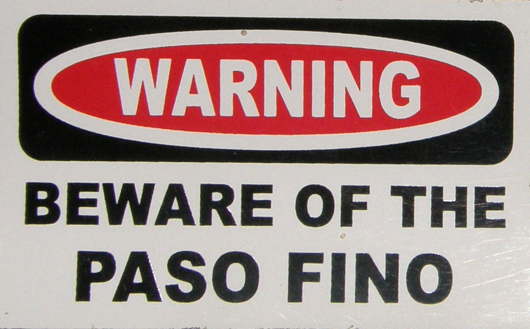 Decal Warning Sticker Warning Beware Of The Paso Fino