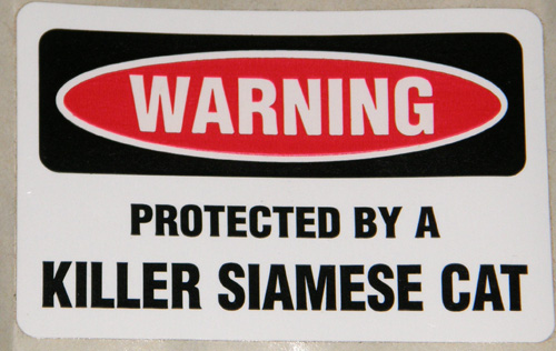 Decal Warning Sticker Warning Protected By A Siamese Cat