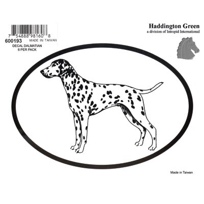 Dalmation Dog Oval Decal Sticker