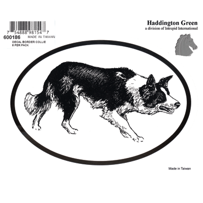 Border Collie Dog Oval Decal Sticker