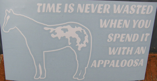 Time Is Never Wasted When You Spend It With An Appaloosa Horse Decal