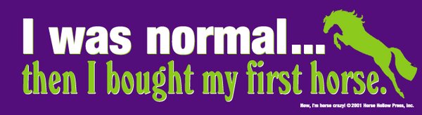 I was normal Then I bought my first horse Bumper Sticker