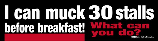 I can muck 30 stalls before breakfast! What can you do? Bumper Sticker