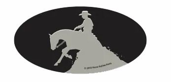 Reiner Reining Horse Sticker Helmet Laptop Cell Phone Small Oval Decal Sticker