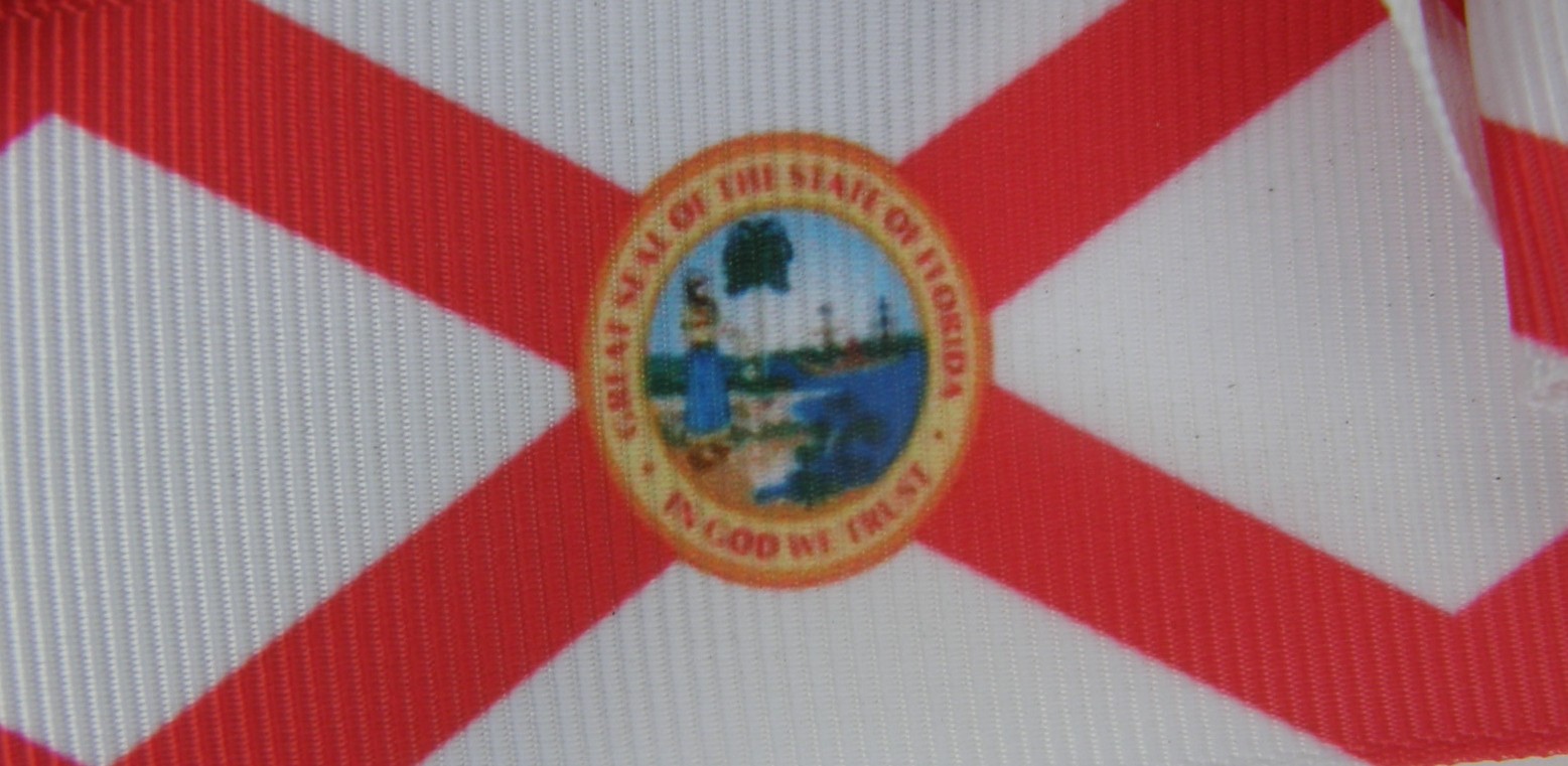 Bridle Path Bows Horse Show Bows Childrens Hair Ribbons Hair Bows Showbows Red/White/Florida State Seal Pattern