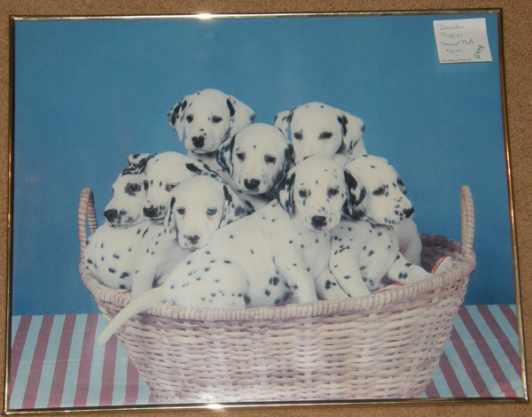 Ron Kimball Dalmatian Puppies Sitting In Basket Dog Firemans Spotted Dog Framed Print Photograph