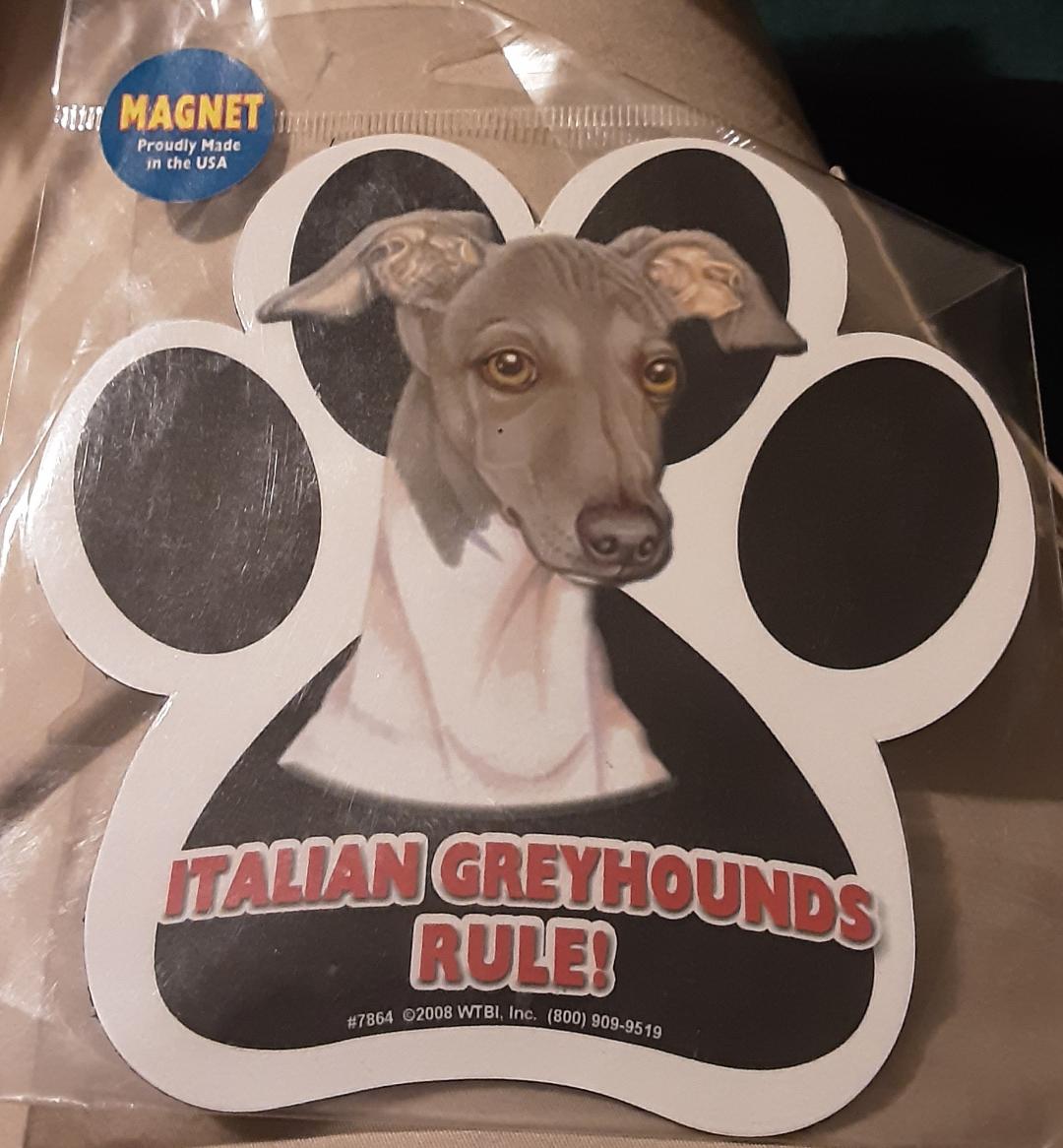 Italian Greyhounds Rule Dog Car Fridge Magnet Greyhound Dog Pawprint Refrigerator Magnet