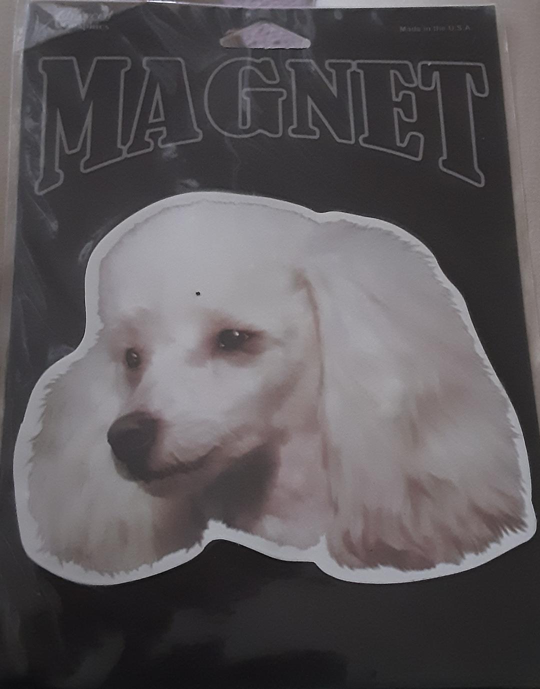 White Poodle Car Fridge Magnet Toy Poodle Dog Refrigerator Magnet