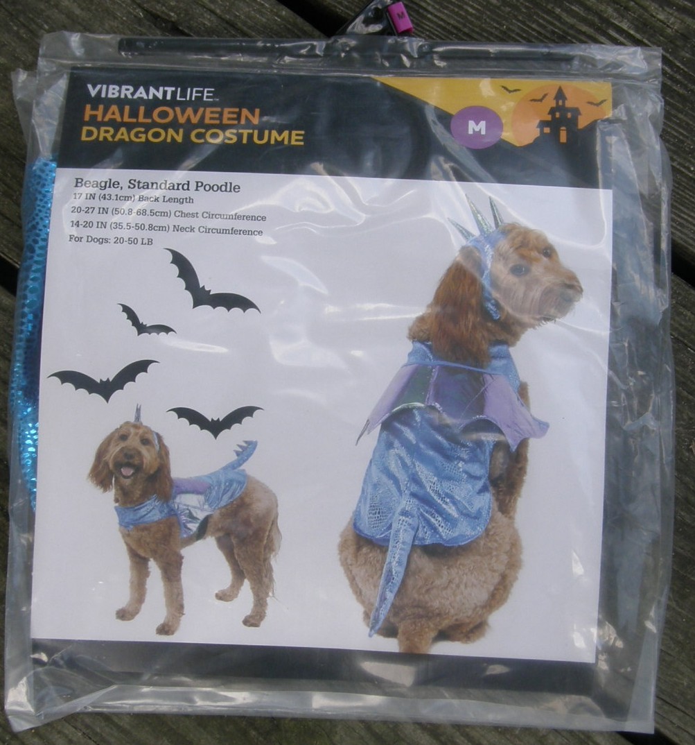Vibrant Life M Dog Halloween Costume Dragon Costume