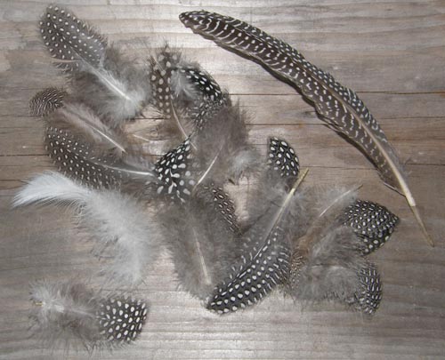 Fly Tying Feathers Guinea Fowl Feathers Fishing Craft