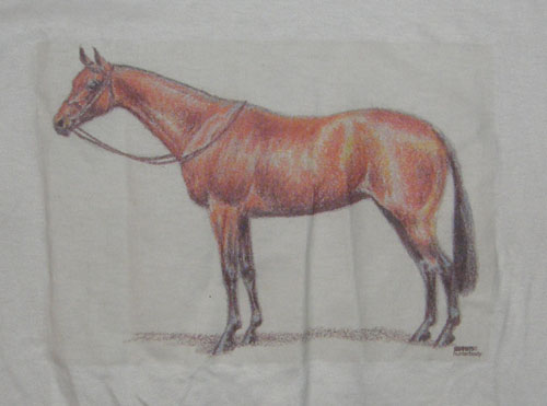 Bay Hunter in English Bridle TB Thoroughbred WB QH English Pleasure Horse T-Shirt Horse Tee Shirt Adult M