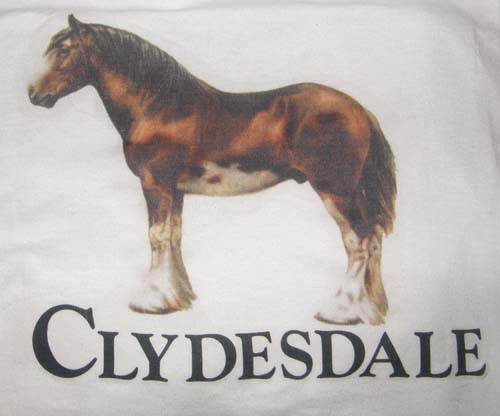 Clydesdale Draft Horse T-Shirt, Horse Tee Shirt