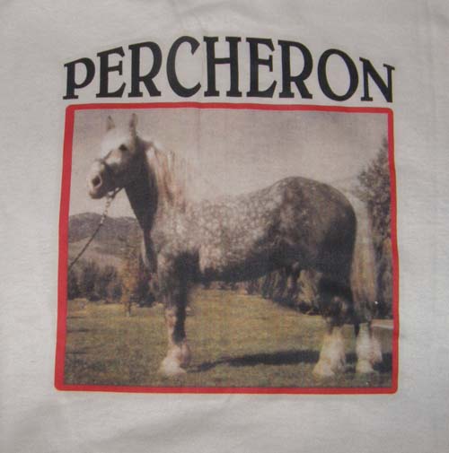 Percheron Draft Horse T-Shirt, Horse Tee Shirt