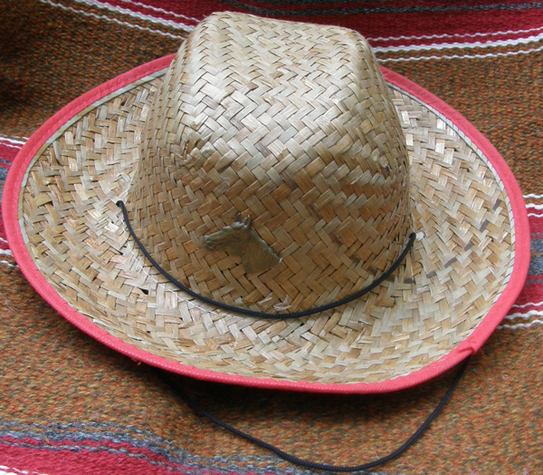 Straw Hat Cowboy Hat Cowgirl Hat Wild West Costume