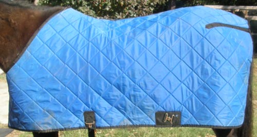 78" CF Quilted Stable Blanket Winter Blanket Horse Royal Blue/Black
