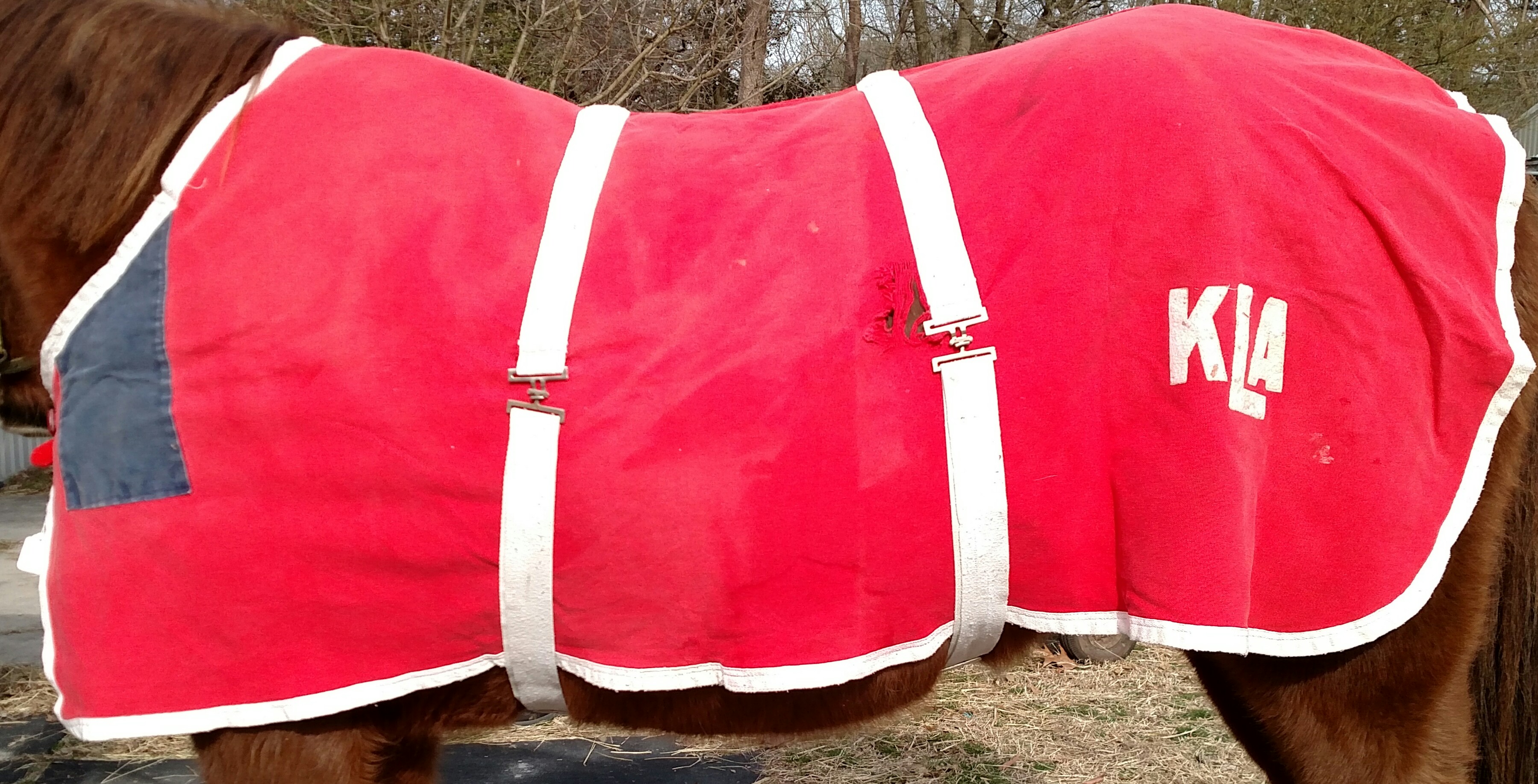 66" - 68” OF Heavy Cotton Stable Sheet Horse Red